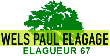 Wels paul elagage classique